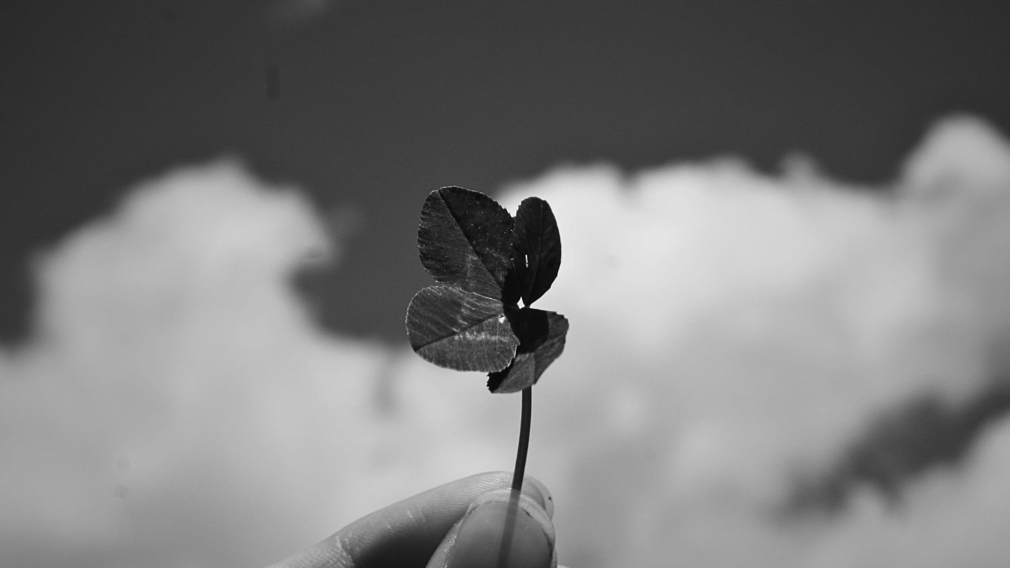 Calling BS on "beginner's luck"